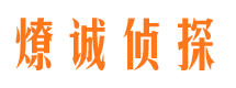 曾都市场调查